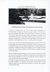 AICA-Communication de Pilar de Insausti-1995