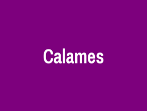 Calames